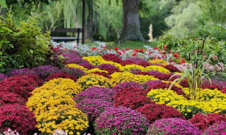 Lire la suite à propos de l’article Don d’organes après un décès : conditions et démarches