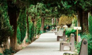 Lire la suite à propos de l’article Peut-on choisir le cimetière de son choix?